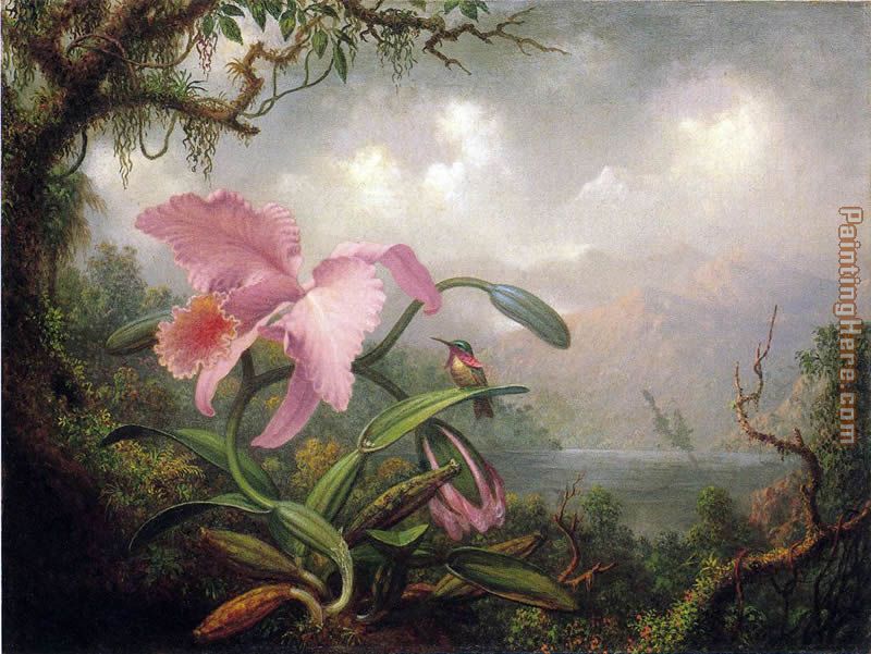 Orchid and Hummingbird painting - Martin Johnson Heade Orchid and Hummingbird art painting
